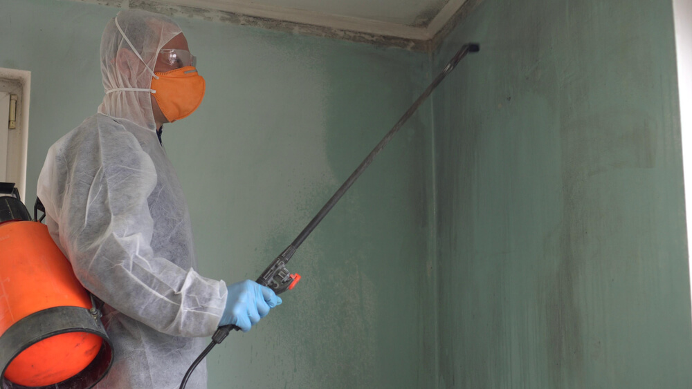 Mold Inspections