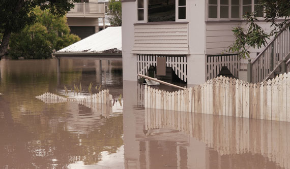 Water Damange Cleanup